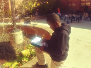 Learning in the Courtyard